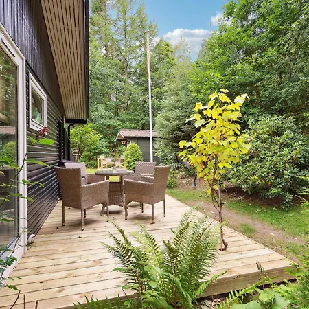 Amazing In With Wifi *